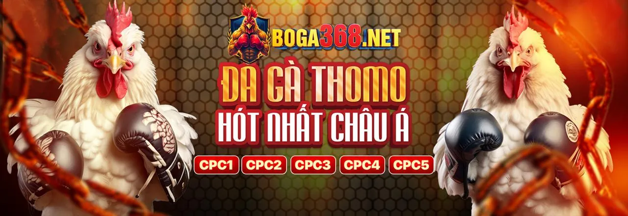 Đa dạng kênh liên hệ hỗ trợ khách hàng Rikbet